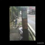 【自転車1人旅】夏休みにクロスバイクで本州縦断してみた#1日目&2日目