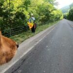 ダックスフンドと北海道自転車旅行 part2  over 200miles bike touring with my dachshund part2