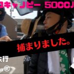 ジャイロキャノピー 50ccバイク旅 北海道2000㌔②  札幌→富良野→美瑛→旭川