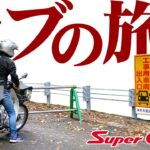 ゲゲッ!? 選んだ酷道ルートは通行止め！【スーパーカブ】砥峰高原ツーリング①【モトブログ】原付二種ツーリング SuperCub Touring in Japan