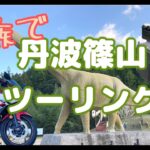 丹波篠山へ子連れバイク旅。丹波竜の発見場所へ