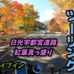 [バイク旅]日光宇都宮道路は紅葉真っ盛りであった　Z900RSでゆくバイク旅　紅葉ツーリングは最高でした
