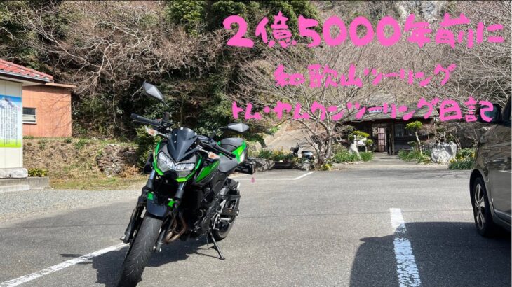 【バイク旅】水仙が咲き乱れる道をZ400と旅してきた