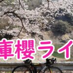 一庫櫻ライド2022　花鳥風月ロードバイク　こころ旅