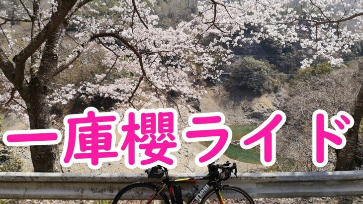 一庫櫻ライド2022　花鳥風月ロードバイク　こころ旅