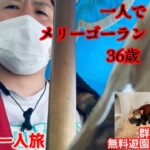 北関東バイク一人旅③「桐生の無料遊園地&動物園」