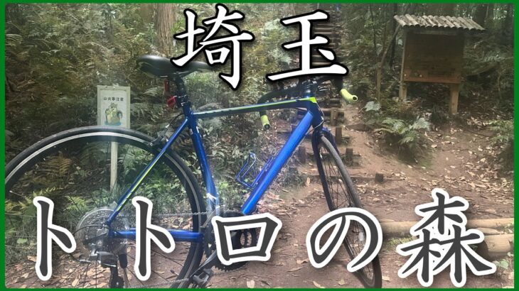 【ロードバイク旅】12段　トトロの森編