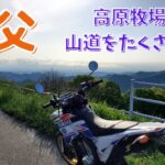 【秩父バイク旅#2】山奥の細い峠道ソロツーリングを楽しんできた。埼玉県道361号線と埼玉県道284号線【WR250X】