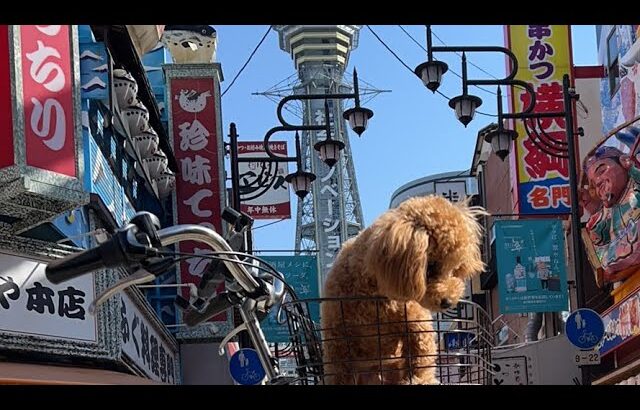 日本横断自転車の旅大阪→沖縄