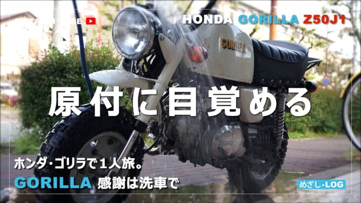 【GORILLA】原付に目覚める【HONDA】