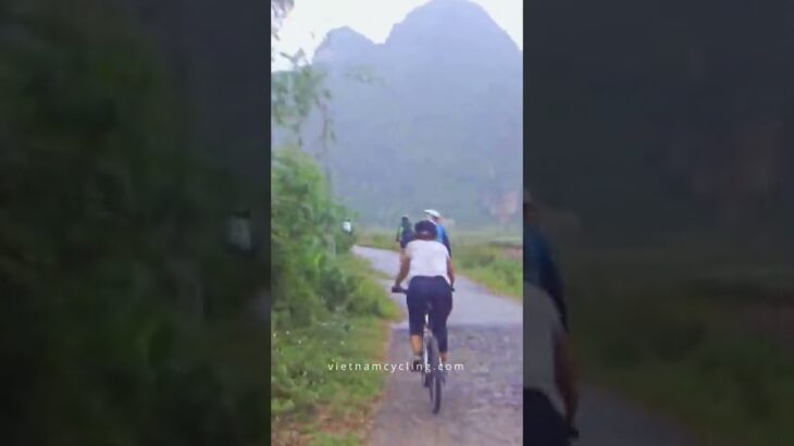 Vietnam Bike Trip Ninh Binh Van Long #shorts