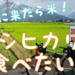 日本一周自転車旅　１５日目　越後湯沢から長岡へ