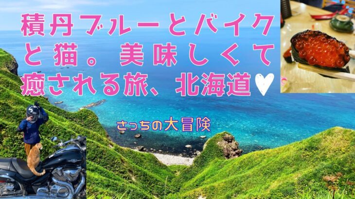 【北海道　バイクツーリング旅】青い海「積丹ブルー」とバイクと猫。美味しくて癒される旅、北海道。