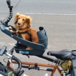 300miles bike camp touring with my dog part３ 愛犬と北海道自転車キャンプ旅 ’22 part３