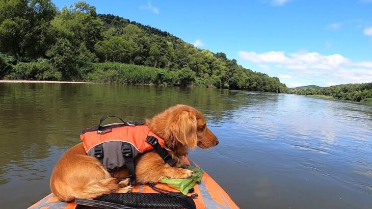 300miles bike camp touring with my dog part6 愛犬と北海道自転車キャンプ旅 ’22 part6