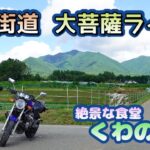 [バイク旅#66]国道411号(通称青梅街道/大菩薩ライン)を終点甲府までツーリング　柳沢峠からの絶景　絶景な食堂「とちの実」