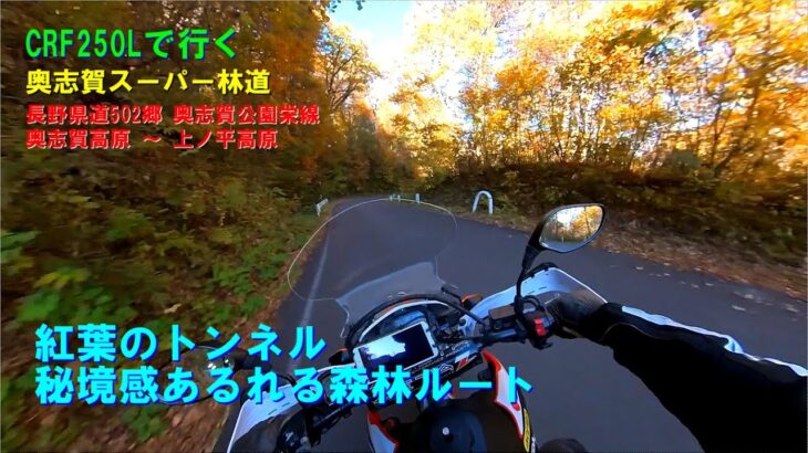 北信州 野沢温泉バイク旅3　秘境感あふれる紅葉の森林ルート