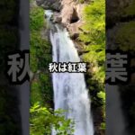 原付バイク日本一周の旅127日目-日本の滝100選の1つ秋保大滝#shorts