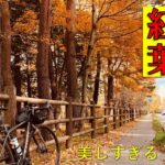 【自転車旅】初のフジイチ！初心者のオッサンが2日間かけて神社も巡る和み旅～浜松から行くけど電車を往復活用しちゃう