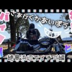 【びびりキャバリア】わんことバイク旅♪海を眺めてイチゴを食べよ♪【イントルーダークラシック400】