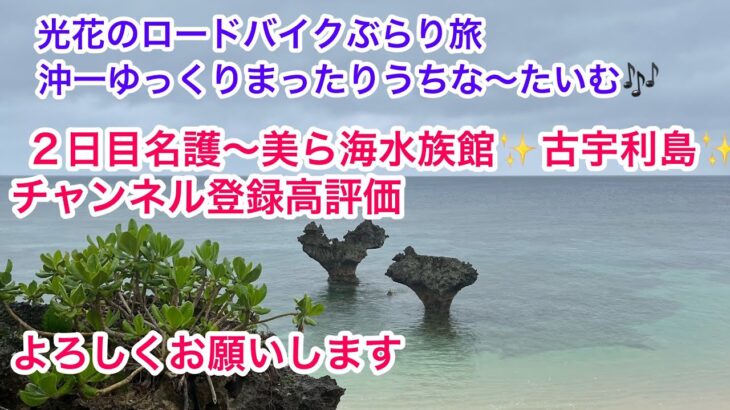 光花のロードバイクぶらり旅　沖一ゆっくりまったりうちな〜たいむ🎶　2日目名護〜美ら海水族館✨古宇利島ハートロック🎶