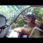 バイク犬、ティナの旅 仮面ライダー コスプレ 電動キックボード The Motorcycle dog TINA