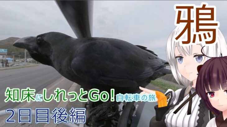 【VOICEROID車載】知床にしれっとGo! 自転車の旅 3日目前編(知床峠→羅臼→中標津)