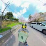 【ノーカット】絶景！長瀞の桜トンネルをバイクで駆け抜ける春の旅🌸🏍