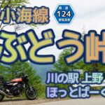 [バイク旅#106]群馬長野県境「ぶどう峠」を走ってきました　国道299号もいいけど上野小海線(県道124号)もおすすめ　川の駅上野やほっとぱーく・浅科にも寄りました