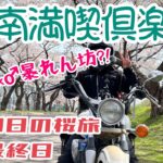 【バイク女子】2泊3日の桜旅・最終日【ツーリング】