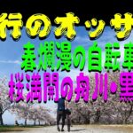 富山 春爛漫の自転車旅 桜満開の舟川・黒部川