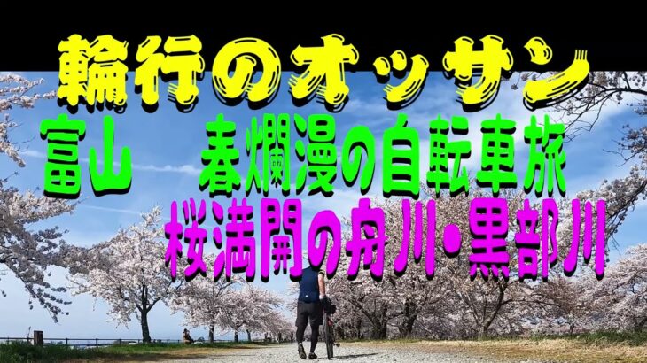 富山 春爛漫の自転車旅 桜満開の舟川・黒部川