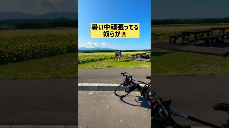 自転車旅120日目 #停滞