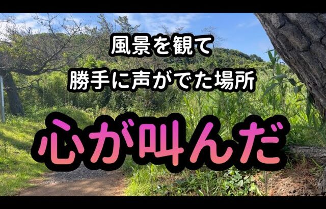 日本一周 自転車旅 62日目 前半 絶対的に外しません ここは皆んなに知ってほしい