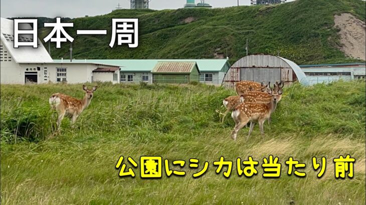 【日本一周 自転車】   最北端、宗谷岬じゃない方   ノシャップ岬へ     利尻島〜稚内    8/8