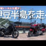 【夫婦バイク旅】旧天城トンネルは凄かった！伊豆の絶景とグルメを満喫するバイク旅。最高のツーリングルートとおしゃれカフェを見つけました。【Rebel1100T/モトブログ】Gold Wing