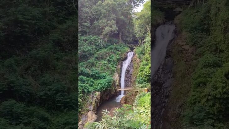 バリ島一周バイク旅、バリイチ5日目　#bali #バリ島 #バイク旅 #ツーリング #GitGitWaterfall