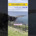 【みちのくおばさんひとり旅】津軽半島を満喫！ 本州最北端目指してカブでトコトコおばさんが走る動画  #クロスカブ  #ツーリング #バイク旅 #原付二種 #一人旅 #カブ旅