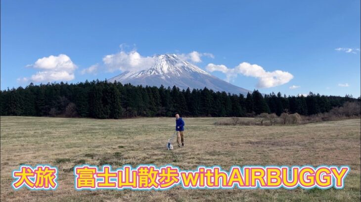【#犬旅  #富士山  】#富士山散歩 with #AIRBUGGY  #ネストバイク #ワイヤーフォックステリア #ダックス #犬連れ #富士宮市 #あさぎり #フードパーク
