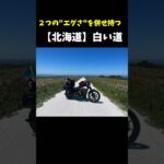 【北海道】白い道はダート道！？ #日本一周 #バイク旅 #harleydavidson #883n
