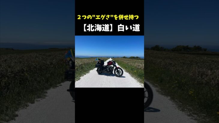 【北海道】白い道はダート道！？ #日本一周 #バイク旅 #harleydavidson #883n