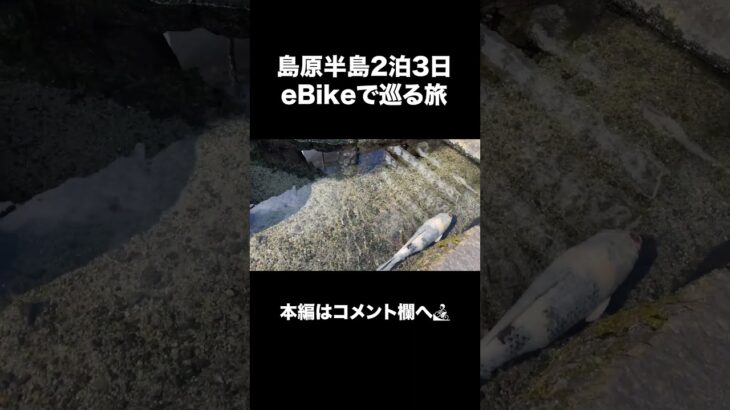 【島原観光①】島原半島一周！eBike（電動自転車）で巡る2泊3日の旅 / グルメ・絶景・一推しスポット【島原・南島原・雲仙・小浜・諫早森山】#島原観光 #島原半島 #ebike