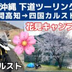 【BMW G310GS日本一周バイク旅 】 ④四国キャンプツーリングの旅は、桜満開の高知と四国カルストを巡る旅。四万十川の岸辺で桜の木の下絶景ソロキャンプ。