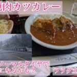 【原付】ツーリング 鹿肉カレー美味しかった帰りが（ノーマルタイヤの雪になるかも）