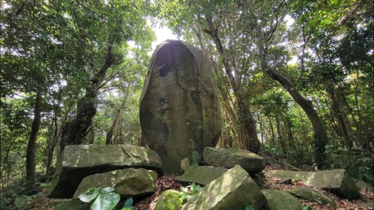 甑島自転車旅行その4 　尾岳登山　ジャングルの中に古代遺跡(？)を見に行く　堅石