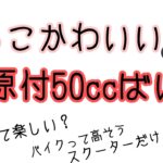 [バイク紹介]スクーターだけじゃない‼️かっこい可愛い原付50ccのバイクたちを紹介🏍