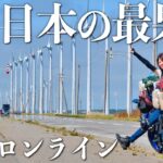 オロロンラインでヒグマに遭遇【日本一周バイク旅】