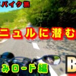 【大阪近郊バイク旅】奈良ニュルに潜む恐怖　やまなみロード編