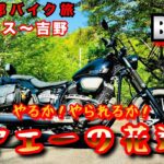 【大阪近郊バイク旅】針テラス〜吉野　やるか！やられるか！ヤエーの花道