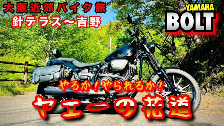 【大阪近郊バイク旅】針テラス〜吉野　やるか！やられるか！ヤエーの花道